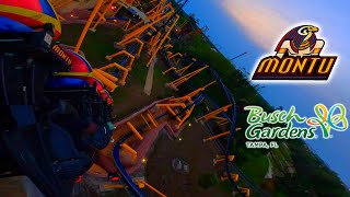 4K Montu  Inverted Roller Coaster  Sunset  Back Seat POV  Busch Gardens Tampa Bay FL [upl. by Casia329]