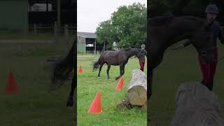 ma jument de 5 ans saute un obstacle de cross pour la première fois equestrian shortswithzita [upl. by Ert]