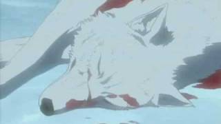 Wolfs Rain  Sonne le clairon [upl. by Neona]