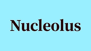 Nucleolus Pronunciation and Meaning [upl. by Starbuck495]