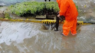 Urban Flooding Unclogging Drains and Restoring Order to the Streets [upl. by Bale]