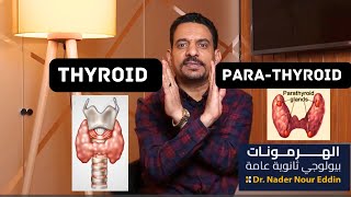 الغدد الدرقية و الغدد جارات الدرقية Thyroid amp Parathyroid glands biology hormones ثانويةعامة [upl. by Laurita]