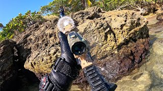 Tropical Island Airsoft [upl. by Torosian]