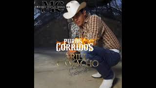 1 Hora De Puros Corridos De Ariel Camacho y Los Plebes Del Rancho [upl. by Acul]