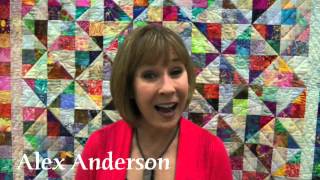 FREE Quilt Shows at TheQuiltShowcom [upl. by Plante]