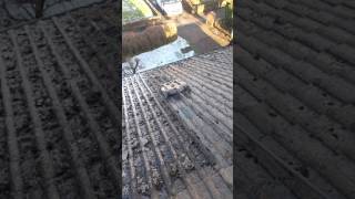 Mosmatic roof cleaning [upl. by Neirual132]