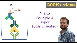 ELISA Enzymelinked Immunosorbent Assay [upl. by Assirral]