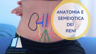 RENI  SEMEIOTICA E ANATOMIA PALPATORIA [upl. by Yattirb]