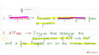 Which enzyme helps in transfer of phosphate group from ATP to a carbohydrate [upl. by Garling]