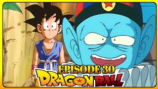 Dragon ball episode 30 Hindi Explained  Dragon Ball  1986   Hindi Anime  DragonBallSuper Hindi [upl. by Ahsiema]