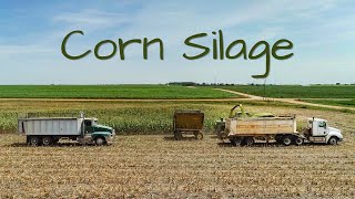 Chopping Silage 2022  KANSAS  JD 5830 Forage Harvester [upl. by Ylahtan]