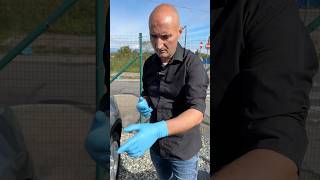 Discover the Simple Trick to Fix Car Dents in Just Minutes CarHack [upl. by Adnir]