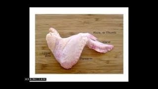 Chicken Wing Dissection Instructions [upl. by Marijo]