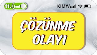 Çözünme Olayı  11 Sınıf Kimya 2023 [upl. by Lecirg628]