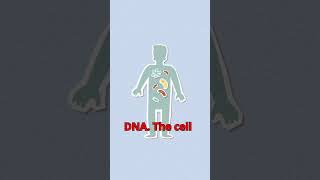 How do bacteria develop [upl. by Rayna]