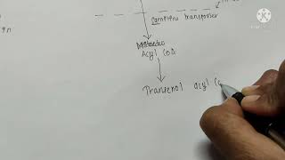 BETA OXIDATION OF FATTYACID IN 5 MIN EASY [upl. by Neerac601]