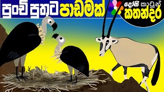 Kids Story in Sinhala CIRCLES Sinhala Childrens Cartoon  Dosi Kathandara [upl. by Yahsan]