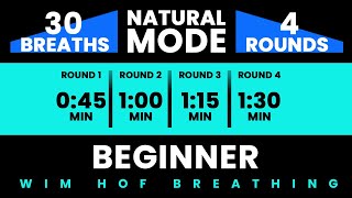 Beginner Wim Hof Guided Breathing  4 Rounds  30 Breaths  Pure Breathwork No Frequencies [upl. by Ahsenhoj]