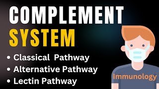 Complement system pathways in immunology Animation  Classical Alternative amp Lectin pathways [upl. by Home]