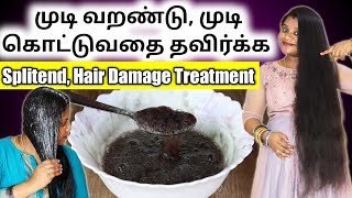 உங்க முடி வறண்டு போய் முடி ரொம்ப கொட்டுதா Splitend Hair Damage Treatment at home  Jegathees meena [upl. by Germin]