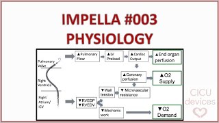 Impella device tutorial 003 Physics and physiology impella basics [upl. by Shabbir]