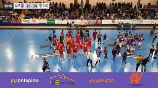 🔴BM GUADALAJARA  BM ALCOBENDAS  DIVISION DE HONOR PLATA MASCULINA [upl. by Ziom]