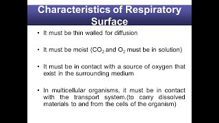 Respiration Types of respiration  characteristics of the respiratory surfaces Class 12 Biology [upl. by Calabrese]