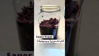 با این سیستم گوارشت رو بیمه کن😋Sauer Kraut sauerkraut cabbagepickle healthyfoodrecipes cooking [upl. by Ahsiela671]