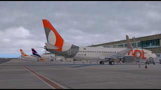 XPlane Boeing 737800  SBSP  SBRJ  ON IVAO  FlyCheck Livestream  Live Relâmpago [upl. by Lobell]