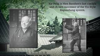 Yin Style Bagua History [upl. by Japha306]