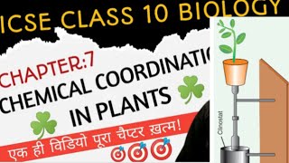 chemical coordination in plants 2 class 10 icse [upl. by Ravert]