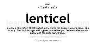 Pronunciation of Lenticel  Definition of Lenticel [upl. by Etta1]