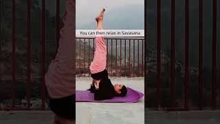 Sarvangasana amp its benefits Yog abhyaas for beginners Join Yogshala with Jyotika 🙏 [upl. by Atirihs58]