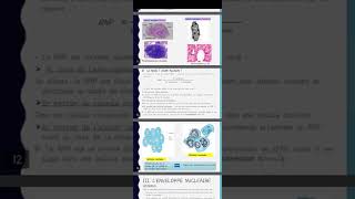 Cytologie Noyau interphasique✅ [upl. by Airlie]