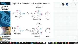 TEMA 22 CARBOHIDRATOS  TEMARIO [upl. by Arman554]