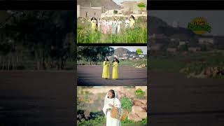 Eritrean traditional culture Eritrean Eritreantiktok Eritreanmovie eritreanmusic eritreancomedy [upl. by Etteuqaj]