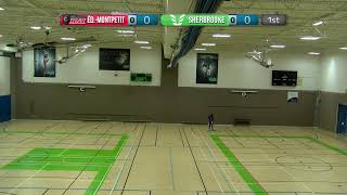 RSEQ Volleyball masculin 🏐 ÉdouardMontpetit  Sherbrooke 1042024 [upl. by Nlycaj]