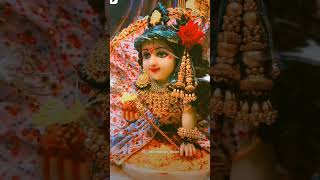 Radhe Radhe🙏 radhakrishna love trendingshorts AaradhyaloveAarohi 🙏🥰❤ [upl. by Assilrac]