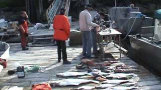 Kitimat Pacific Ocean Fishing [upl. by Wanids]