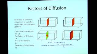 Factors of Diffusion [upl. by Grey593]