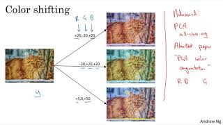 C4W2L10 Data Augmentation [upl. by Haelhsa133]