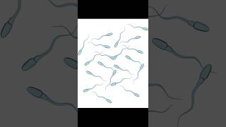 Sperm Ka Test In Hindi Urdu [upl. by Guilbert]