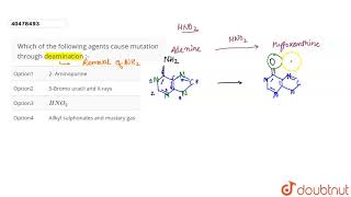 Which of the following agents cause mutation through deamination [upl. by Clabo]