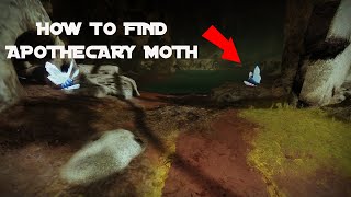 How to find Apothecary Moth [upl. by Esbensen]