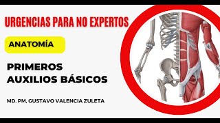 Primeros Auxilios basicos  Acciones básicas para la atención de un lesionado  ANATOMÍA [upl. by Amethist116]