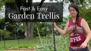 Fast amp Easy Garden Trellis  So easy even I can make it  Homestead Tips and DIY [upl. by Cung]