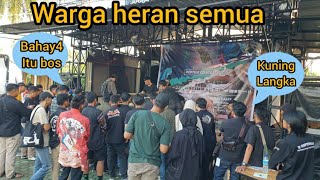 PERTEMUAN ULAR KUNING KEPALA SEGITIGA LANGKA BIKIN WARGA PADA HERAN [upl. by Adrea]