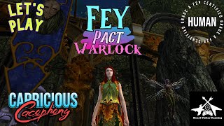 DDO Fey Pact Warlock Build and Review [upl. by Attenod]