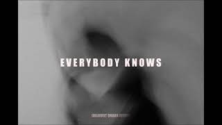 Sigrid  Everybody Knows Mahmut Orhan Remix  UNRELEASED [upl. by Ratcliff]