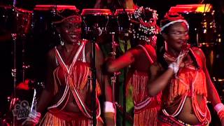 Femi Kuti  Dem Bobo Live in Sydney  Moshcam [upl. by Nothgierc]